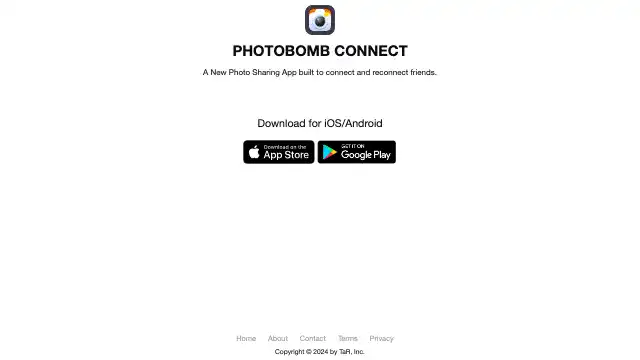 Screenshot of https://www.aphotobomb.com/